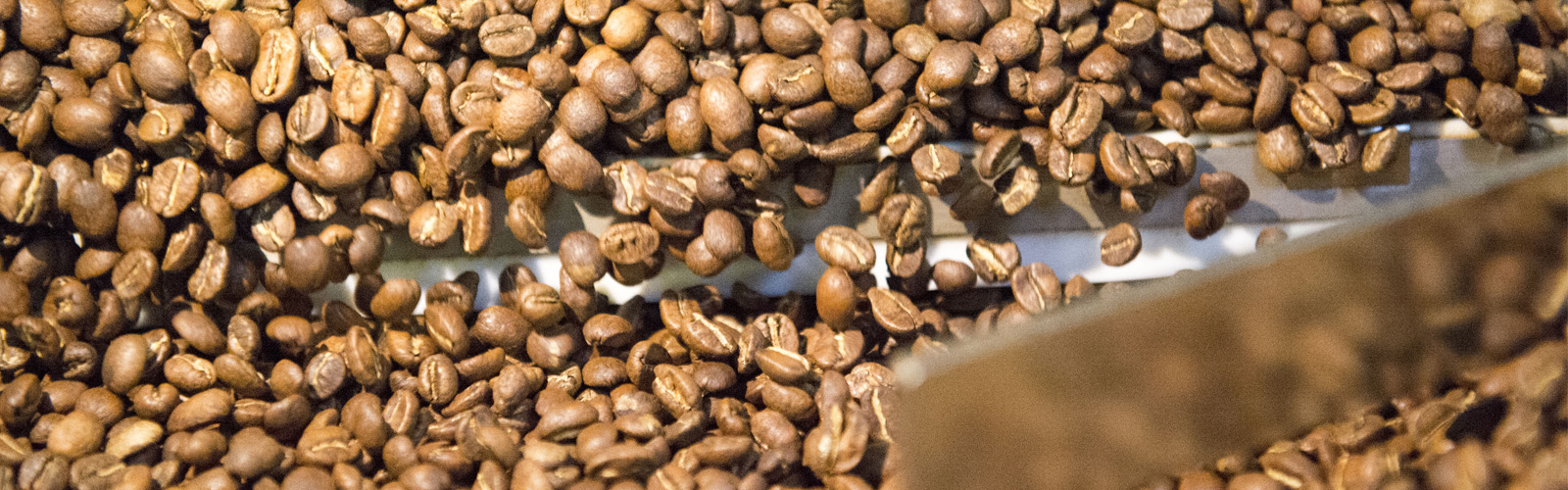 Welsh Coffee Roasters Speciality coffee roasted in Wales