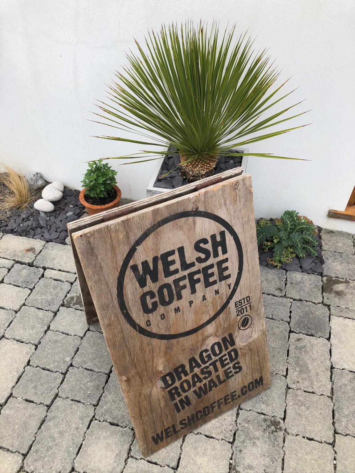 Wholesale Coffee Beans from Welsh Coffee Company